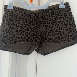 Leopard shorts